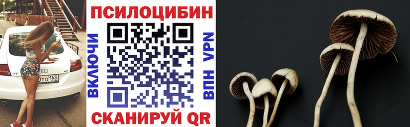Галлюциногенные грибы Psilocybe  Уфа 